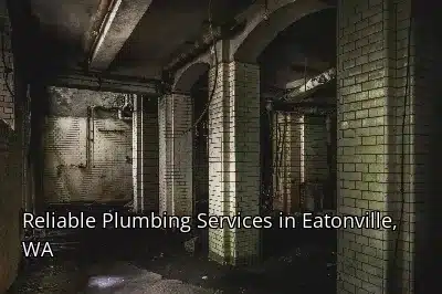 Reliable Plumbing Services in Eatonville, WA Reliable Plumbing Services in Eatonville, WA