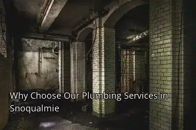 Why Choose Our Plumbing Services in Snoqualmie Why Choose Our Plumbing Services in Snoqualmie