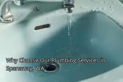 Why Choose Our Plumbing Services in Spanaway, WA Why Choose Our Plumbing Services in Spanaway, WA