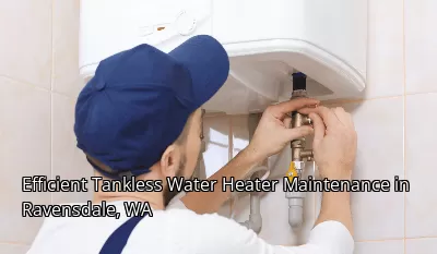 Efficient Tankless Water Heater Maintenance in Ravensdale, WA