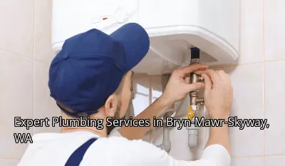 Expert Plumbing Services in Bryn-Mawr-Skyway, WA