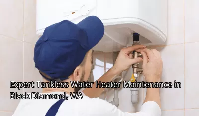 Expert Tankless Water Heater Maintenance in Black Diamond, WA