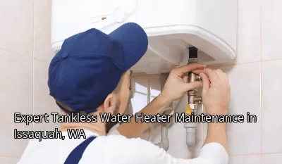 Expert Tankless Water Heater Maintenance in Issaquah, WA
