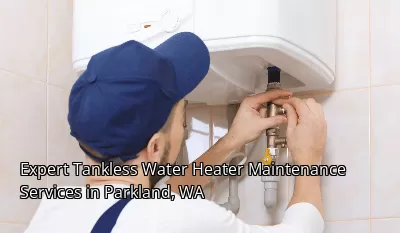 Expert Tankless Water Heater Maintenance Services in Parkland, WA