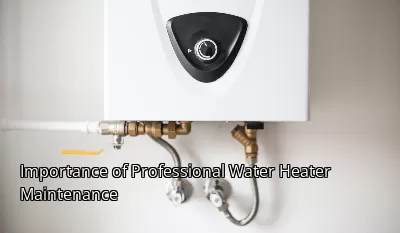 Importance of Professional Water Heater Maintenance Importance of Professional Water Heater Maintenance