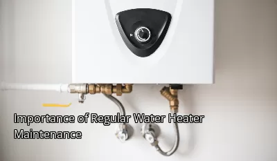 Importance of Regular Water Heater Maintenance Importance of Regular Water Heater Maintenance