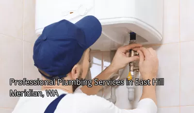 Professional Plumbing Services in East Hill Meridian, WA Professional Plumbing Services in East Hill Meridian, WA
