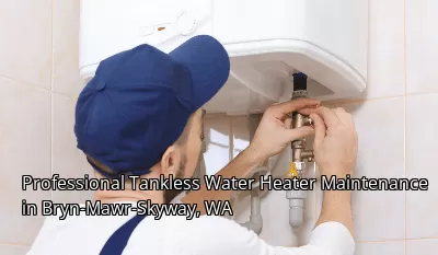Professional Tankless Water Heater Maintenance in Bryn-Mawr-Skyway, WA