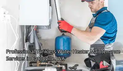 Professional Tankless Water Heater Maintenance Services in Eatonville, WA Professional Tankless Water Heater Maintenance Services in Eatonville, WA
