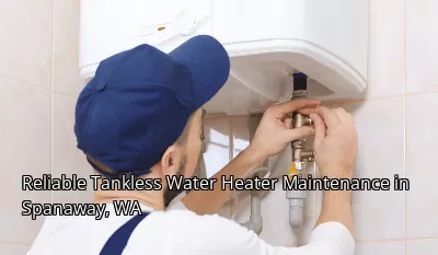 Reliable Tankless Water Heater Maintenance in Spanaway, WA