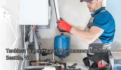 Tankless Water Heater Maintenance in North Seattle, WA Tankless Water Heater Maintenance in North Seattle, WA