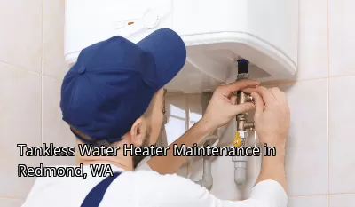 Tankless Water Heater Maintenance in Redmond, WA