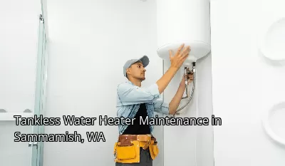 Tankless Water Heater Maintenance in Sammamish, WA
