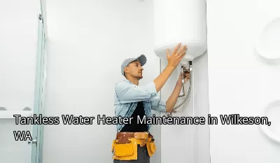Tankless Water Heater Maintenance in Wilkeson, WA