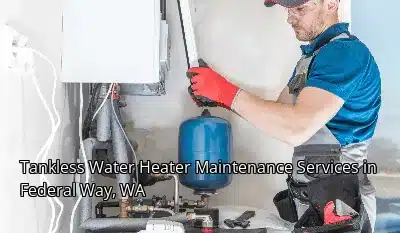 Tankless Water Heater Maintenance Services in Federal Way, WA Tankless Water Heater Maintenance Services in Federal Way, WA