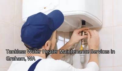 Tankless Water Heater Maintenance Services in Graham, WA