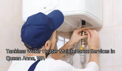 Tankless Water Heater Maintenance Services in Queen Anne, WA