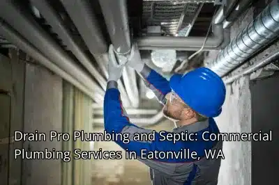 Drain Beast Services: Commercial Plumbing Services in Eatonville, WA
