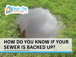 How do you know if your sewer is backed up?