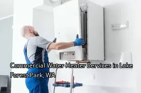 Commercial Water Heater Services in Lake Forest Park, WA