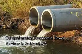 Comprehensive Commercial Sewer Services in Parkland, WA
