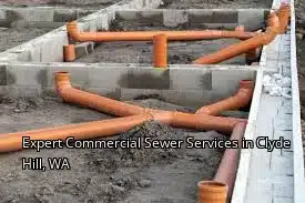 Expert Commercial Sewer Services in Clyde Hill, WA