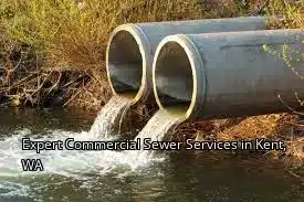 Expert Commercial Sewer Services in Kent, WA