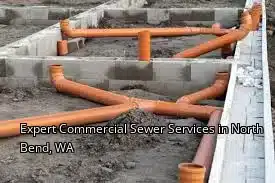 Expert Commercial Sewer Services in North Bend, WA
