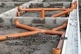 Expert Commercial Sewer Services in Shoreline, WA
