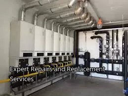 Expert Repairs and Replacement Services