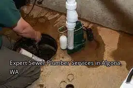 Expert Sewer Plumber Services in Algona, WA