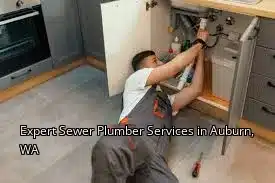 Expert Sewer Plumber Services in Auburn, WA Expert Sewer Plumber Services in Auburn, WA