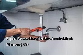 Expert Sewer Plumber Services in Black Diamond, WA Expert Sewer Plumber Services in Black Diamond, WA