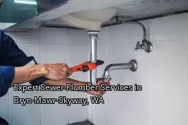 Expert Sewer Plumber Services in Bryn-Mawr-Skyway, WA