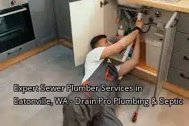 Expert Sewer Plumber Services in Eatonville, WA - Drain Beast Services