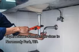 Expert Sewer Plumber Services in Normandy Park, WA Expert Sewer Plumber Services in Normandy Park, WA