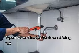 Expert Sewer Plumber Services in Orting, WA Expert Sewer Plumber Services in Orting, WA
