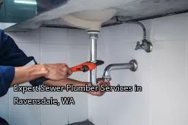 Expert Sewer Plumber Services in Ravensdale, WA