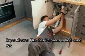 Expert Sewer Plumber Services in Redmond, WA Expert Sewer Plumber Services in Redmond, WA