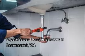 Expert Sewer Plumber Services in Sammamish, WA