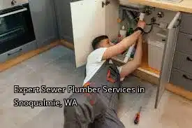 Expert Sewer Plumber Services in Snoqualmie, WA