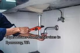 Expert Sewer Plumber Services in Spanaway, WA