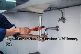 Expert Sewer Plumber Services in Wilkeson, WA