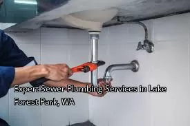 Expert Sewer Plumbing Services in Lake Forest Park, WA