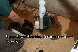 Expert Sewer Plumbing Services in Yarrow Point, WA Expert Sewer Plumbing Services in Yarrow Point, WA