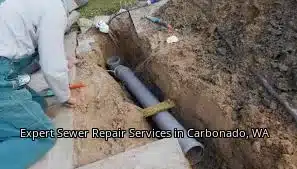 Expert Sewer Repair Services in Carbonado, WA