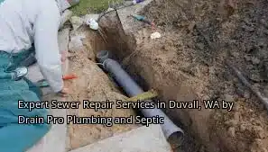 Expert Sewer Repair Services in Duvall, WA by Drain Beast Services Expert Sewer Repair Services in Duvall, WA by Drain Beast Services