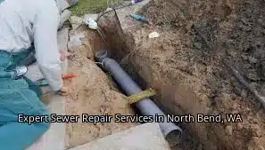 Expert Sewer Repair Services in North Bend, WA
