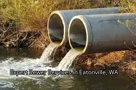 Expert Sewer Services in Eatonville, WA