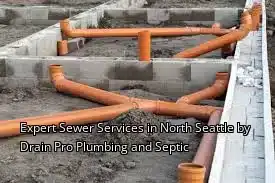 Expert Sewer Services in North Seattle by Drain Beast Services